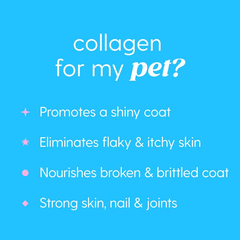 Voxe Labs Collagen Drops For Dogs & Cats
