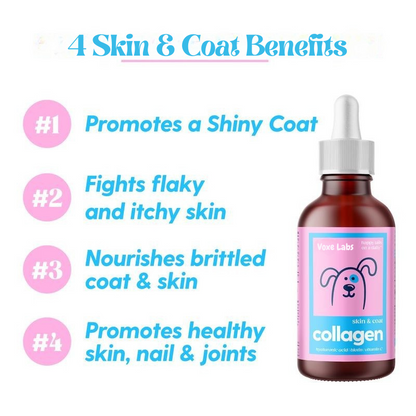Voxe Labs Collagen Drops For Dogs & Cats