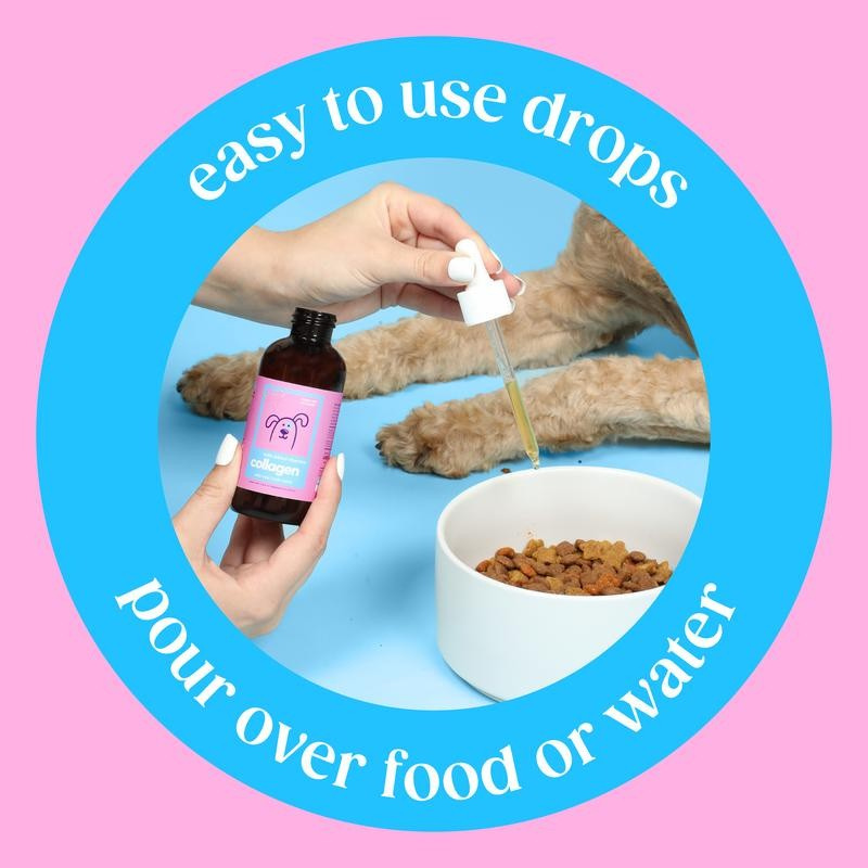 Voxe Labs Collagen Drops For Dogs & Cats
